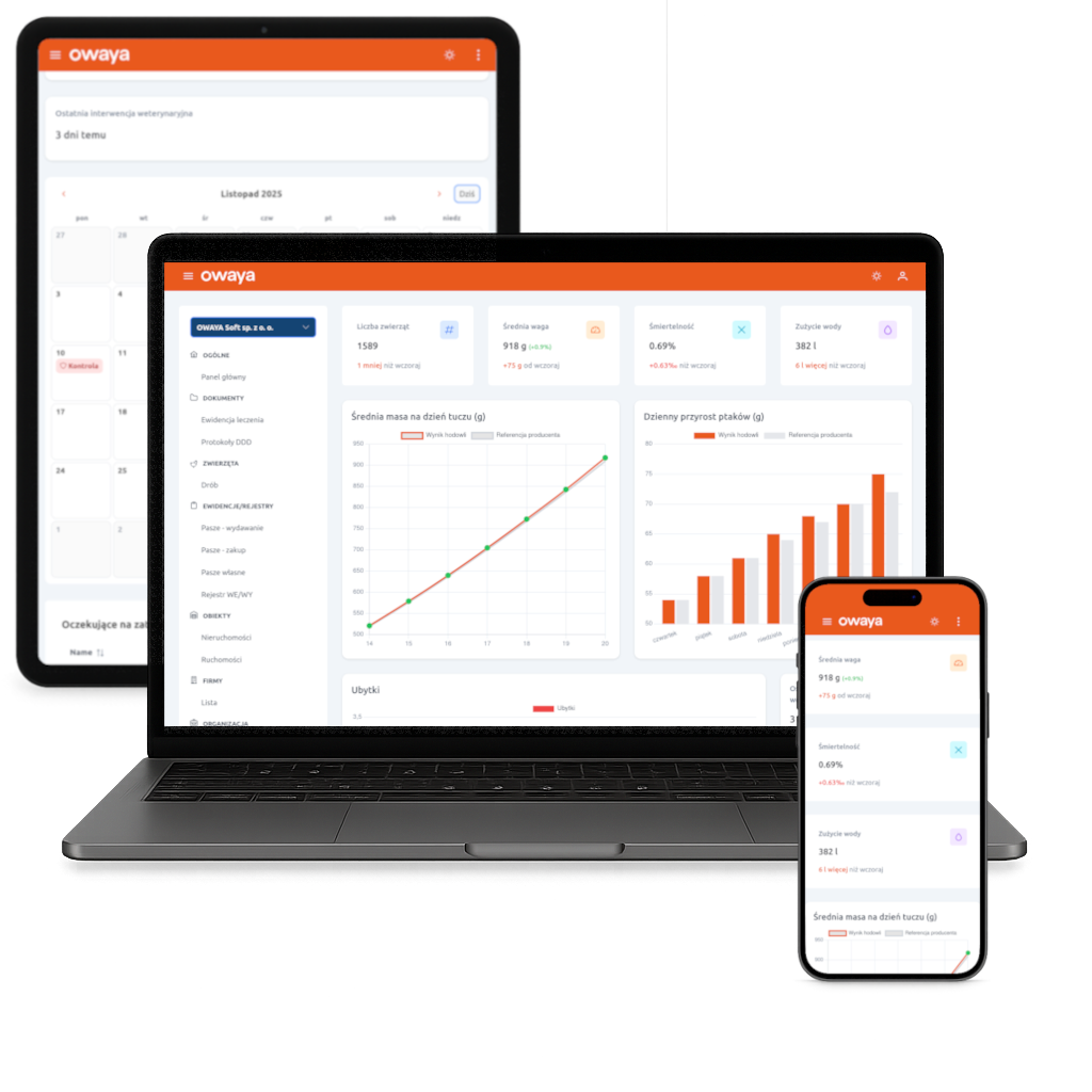owaya na laptopie, tablecie i smartfonie