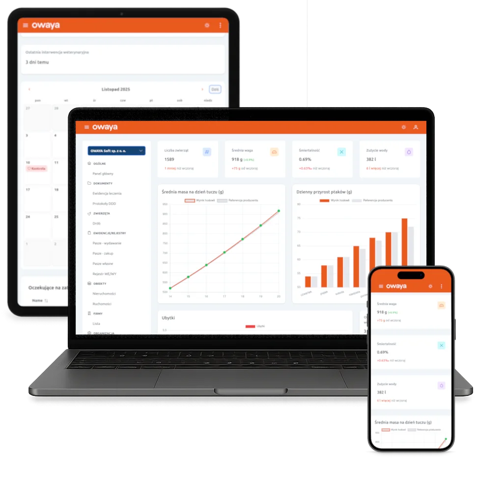 owaya na laptopie, tablecie i smartfonie